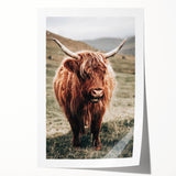 Farmhouse Wall Art of Highland Cow – Rustic Country Style Decor