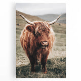 Farmhouse Wall Art of Highland Cow – Rustic Country Style Decor