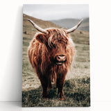 Farmhouse Wall Art of Highland Cow – Rustic Country Style Decor