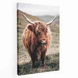 Farmhouse Wall Art of Highland Cow – Rustic Country Style Decor