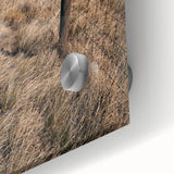 Farmhouse Wall Art of Fenced Field – Rustic Country Living Decor