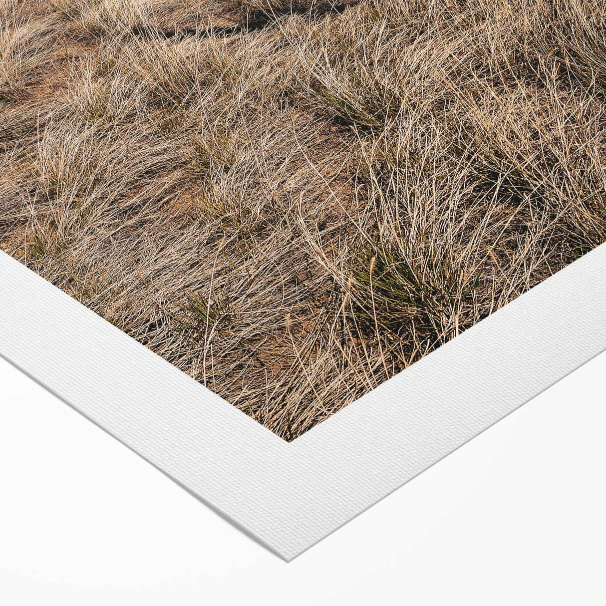 Farmhouse Wall Art of Fenced Field – Rustic Country Living Decor