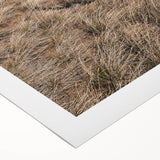 Farmhouse Wall Art of Fenced Field – Rustic Country Living Decor