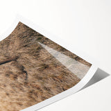 Farmhouse Wall Art of Fenced Field – Rustic Country Living Decor