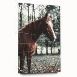 Farmhouse Wall Art Horse by Fence Print | Rustic Country Animal Decor