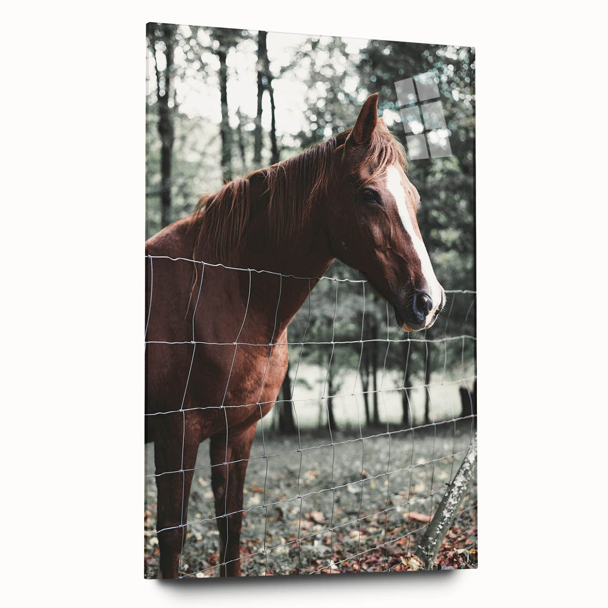 Farmhouse Wall Art Horse by Fence Print | Rustic Country Animal Decor
