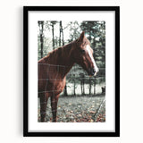 Farmhouse Wall Art Horse by Fence Print | Rustic Country Animal Decor