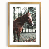 Farmhouse Wall Art Horse by Fence Print | Rustic Country Animal Decor