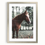 Farmhouse Wall Art Horse by Fence Print | Rustic Country Animal Decor