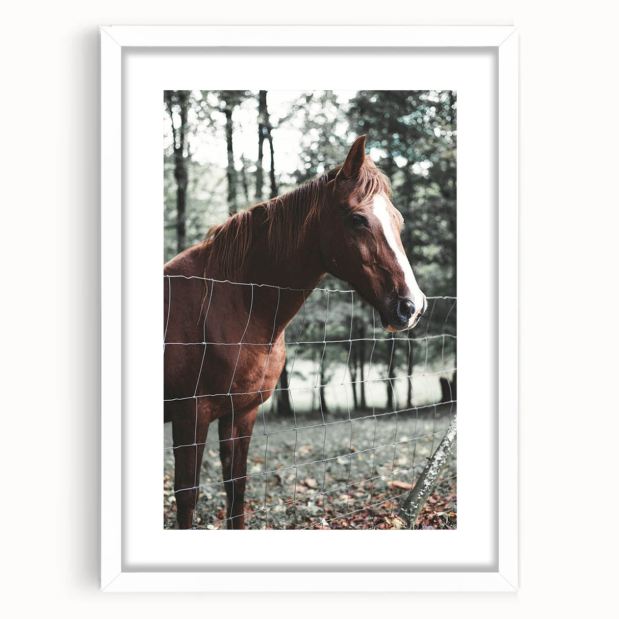 Farmhouse Wall Art Horse by Fence Print | Rustic Country Animal Decor