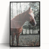Farmhouse Wall Art Horse by Fence Print | Rustic Country Animal Decor