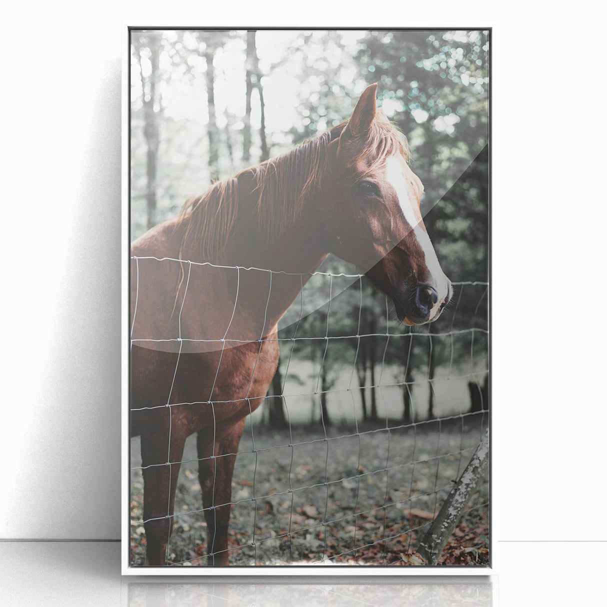 Farmhouse Wall Art Horse by Fence Print | Rustic Country Animal Decor
