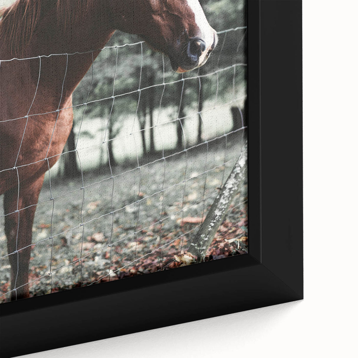 Farmhouse Wall Art Horse by Fence Print | Rustic Country Animal Decor