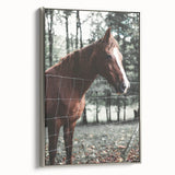 Farmhouse Wall Art Horse by Fence Print | Rustic Country Animal Decor