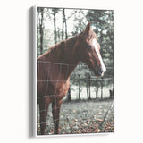 Farmhouse Wall Art Horse by Fence Print | Rustic Country Animal Decor