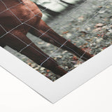 Farmhouse Wall Art Horse by Fence Print | Rustic Country Animal Decor