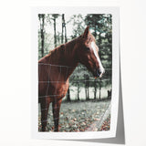 Farmhouse Wall Art Horse by Fence Print | Rustic Country Animal Decor