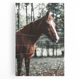 Farmhouse Wall Art Horse by Fence Print | Rustic Country Animal Decor