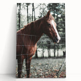 Farmhouse Wall Art Horse by Fence Print | Rustic Country Animal Decor