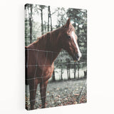 Farmhouse Wall Art Horse by Fence Print | Rustic Country Animal Decor