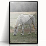 Farmhouse Wall Art of Grazing White Horse – Rustic Country Style Decor