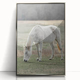 Farmhouse Wall Art of Grazing White Horse – Rustic Country Style Decor