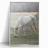 Farmhouse Wall Art of Grazing White Horse – Rustic Country Style Decor