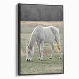Farmhouse Wall Art of Grazing White Horse – Rustic Country Style Decor