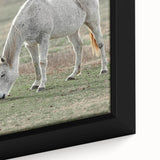 Farmhouse Wall Art of Grazing White Horse – Rustic Country Style Decor