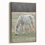 Farmhouse Wall Art of Grazing White Horse – Rustic Country Style Decor