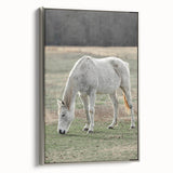 Farmhouse Wall Art of Grazing White Horse – Rustic Country Style Decor