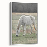 Farmhouse Wall Art of Grazing White Horse – Rustic Country Style Decor