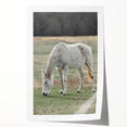 Farmhouse Wall Art of Grazing White Horse – Rustic Country Style Decor
