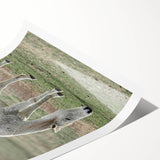 Farmhouse Wall Art of Grazing White Horse – Rustic Country Style Decor