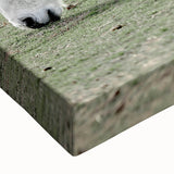 Farmhouse Wall Art of Grazing White Horse – Rustic Country Style Decor