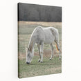 Farmhouse Wall Art of Grazing White Horse – Rustic Country Style Decor