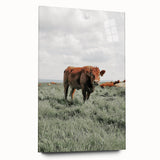 Rustic Farmhouse Wall Art of Grazing Cow – Country Style Farm Decor