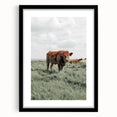Rustic Farmhouse Wall Art of Grazing Cow – Country Style Farm Decor