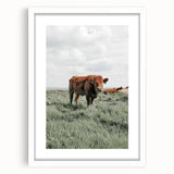 Rustic Farmhouse Wall Art of Grazing Cow – Country Style Farm Decor