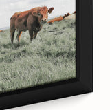 Rustic Farmhouse Wall Art of Grazing Cow – Country Style Farm Decor
