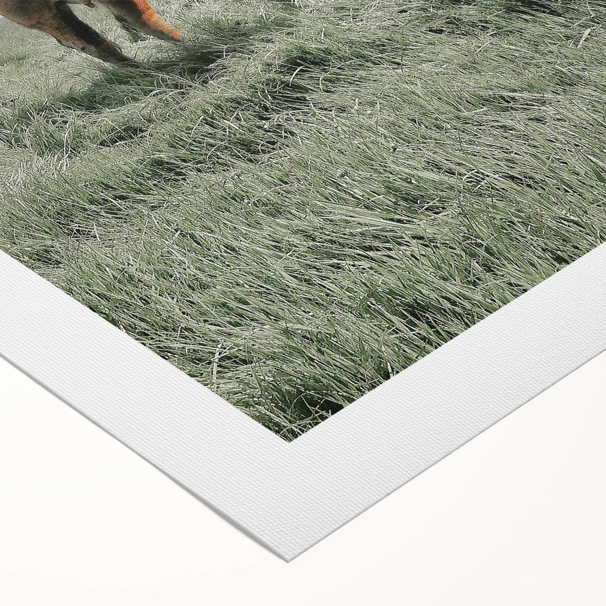 Rustic Farmhouse Wall Art of Grazing Cow – Country Style Farm Decor