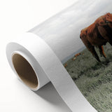 Rustic Farmhouse Wall Art of Grazing Cow – Country Style Farm Decor