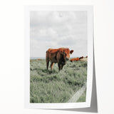 Rustic Farmhouse Wall Art of Grazing Cow – Country Style Farm Decor