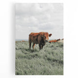 Rustic Farmhouse Wall Art of Grazing Cow – Country Style Farm Decor