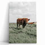 Rustic Farmhouse Wall Art of Grazing Cow – Country Style Farm Decor