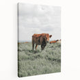 Rustic Farmhouse Wall Art of Grazing Cow – Country Style Farm Decor
