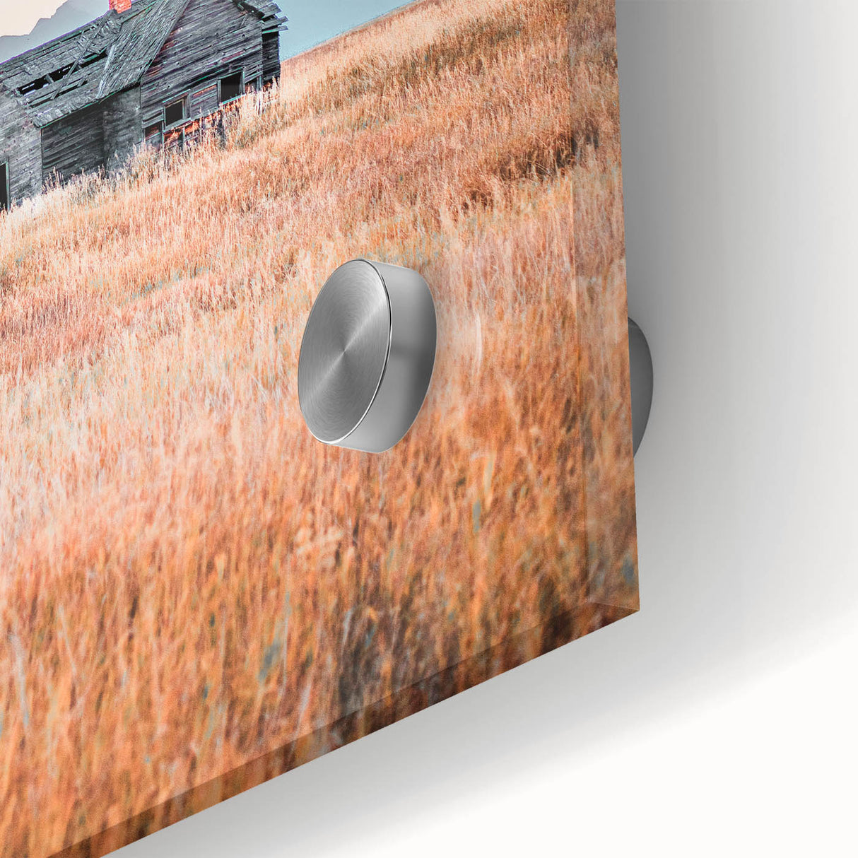 Farmhouse Wall Art of Abandoned Cabin with Birds – Rustic Country Decor