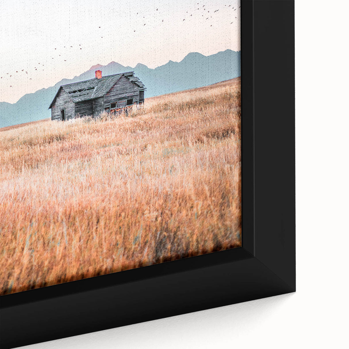 Farmhouse Wall Art of Abandoned Cabin with Birds – Rustic Country Decor