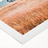 Farmhouse Wall Art of Abandoned Cabin with Birds – Rustic Country Decor