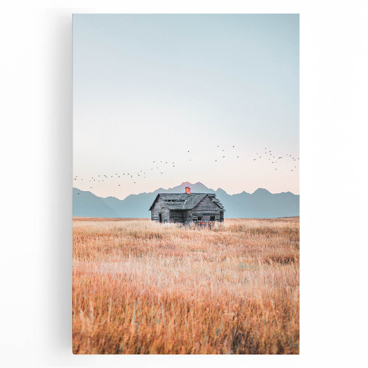 Farmhouse Wall Art of Abandoned Cabin with Birds – Rustic Country Decor